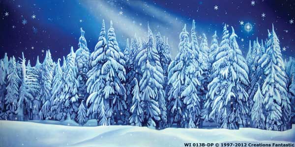 Backdrop WI 013B-DP Winter Wonderland 6B
